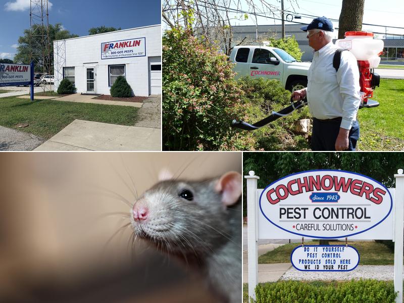 Franklin Pest Solutions