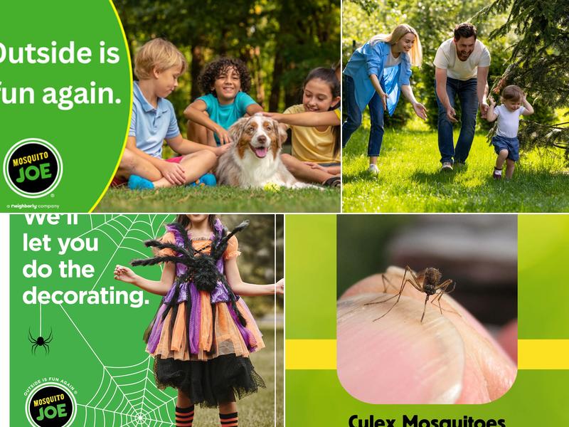 Mosquito Joe of the Bluegrass (Louisville)