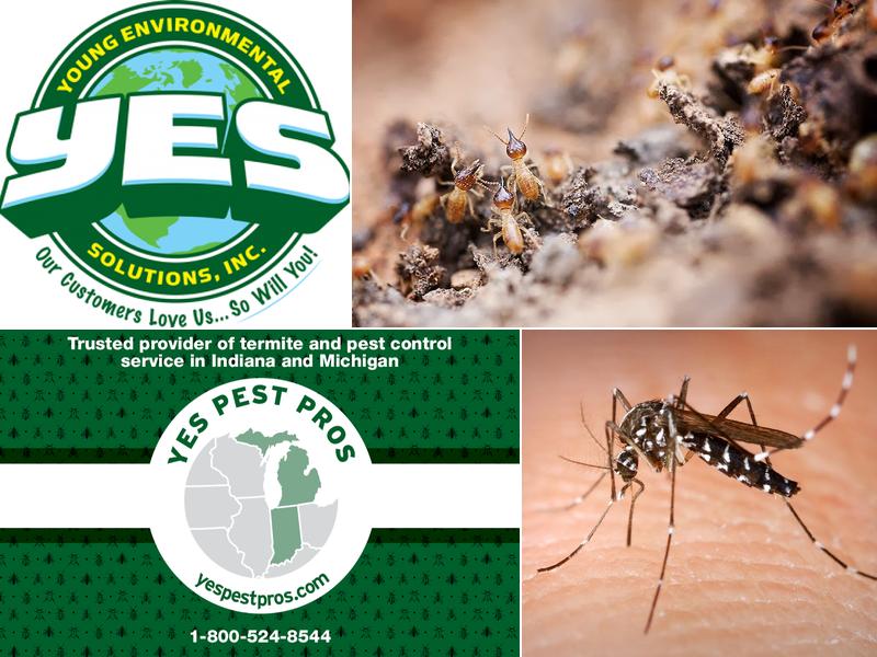 Yes Pest Pros, Inc.