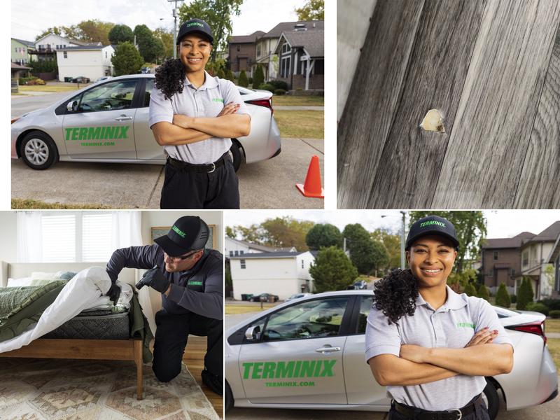 Terminix