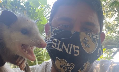 JPC Exterminating, LLC 8817 Darby Ln, River Ridge Louisiana 70123