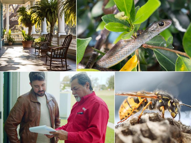 Bug Ninja Pest Control