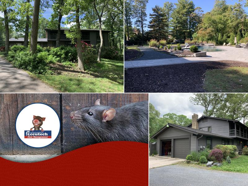 Accutech Pest Management