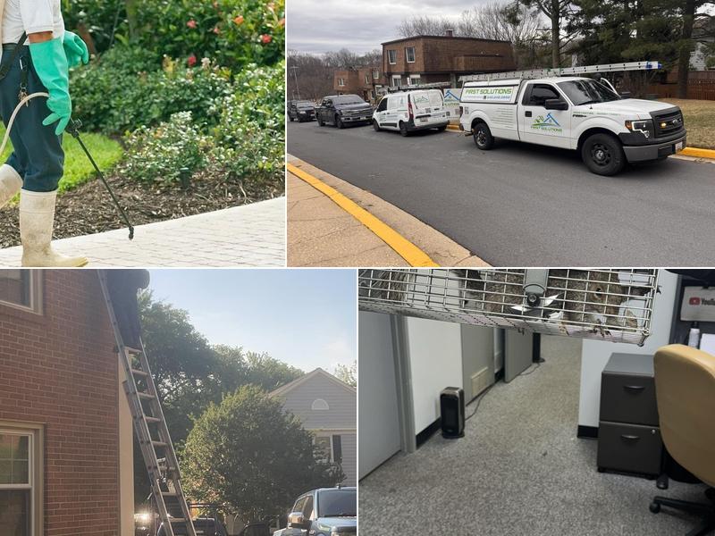 First Solutions Pest & Home Services