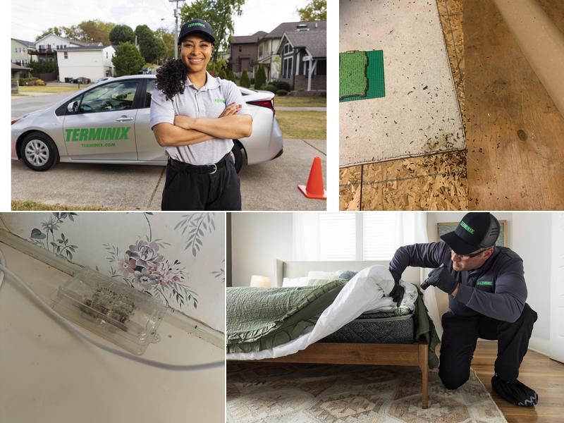 Terminix