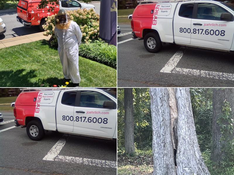 Ehrlich Pest Control