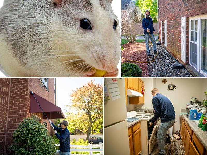 Johnny B's Pest Control