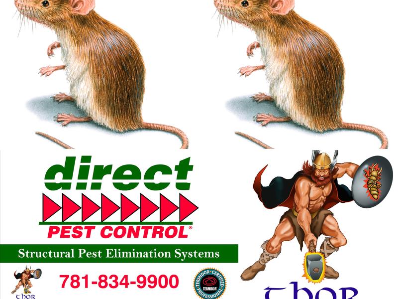 direct pest control
