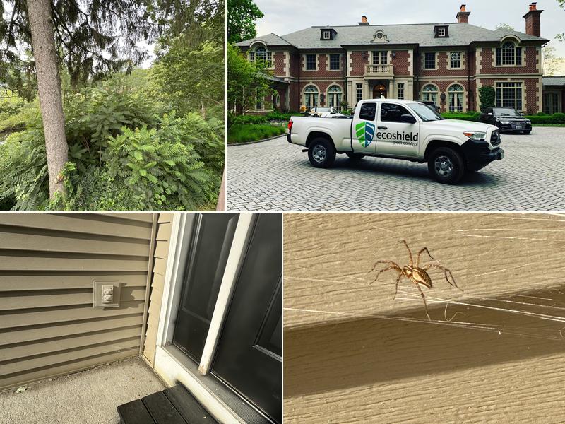 EcoShield Pest Solutions