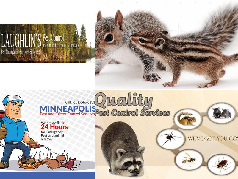 Laughlin's Pest Control