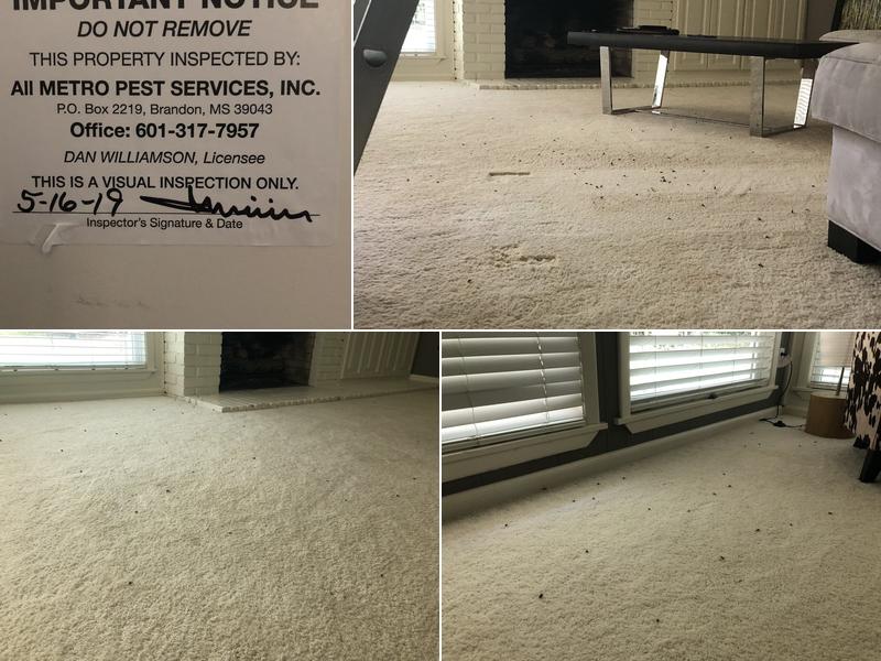 All Metro Pest Services Inc