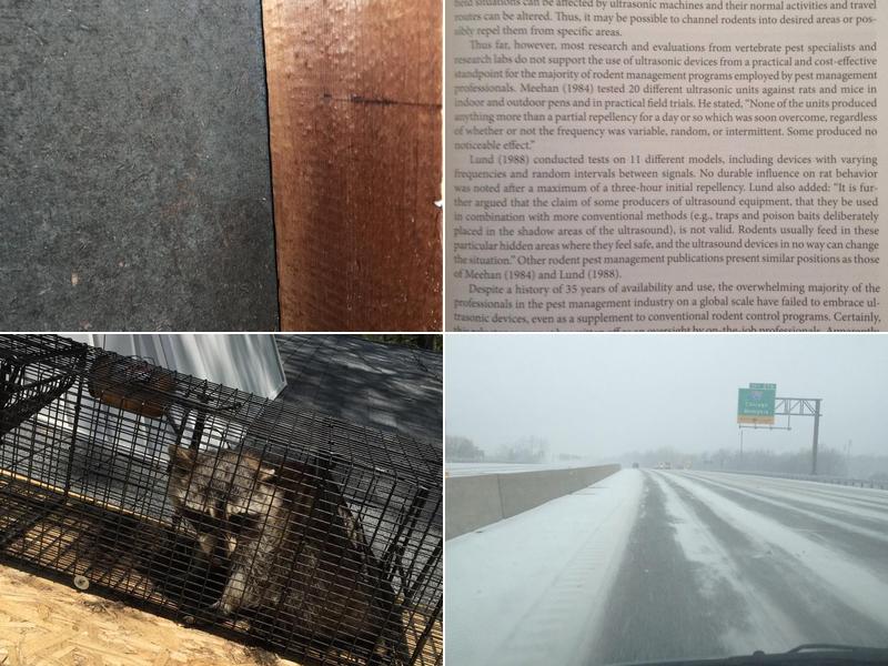 Total Clean Pest Control