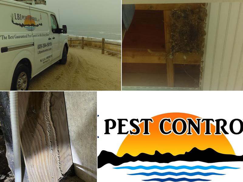 LBI Pest Control