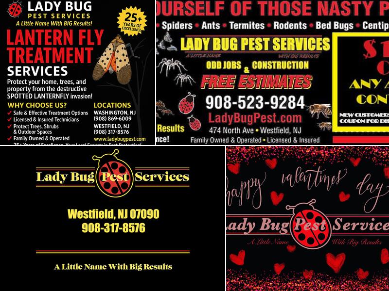 Lady Bug Pest Services