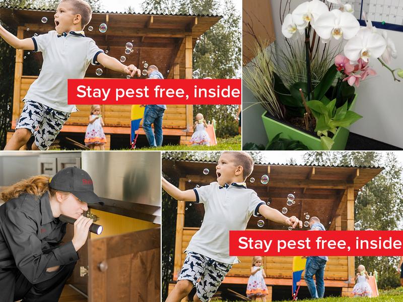 Ehrlich Pest Control