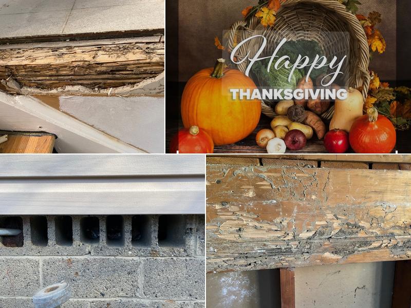 Mrs. Bzzz Pest & Termite Solutions