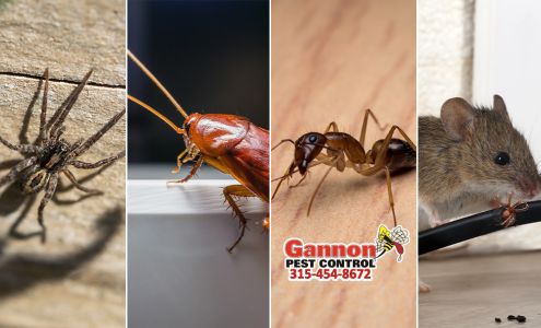 Gannon Pest Control 2925 Milton Ave, Solvay New York 13209