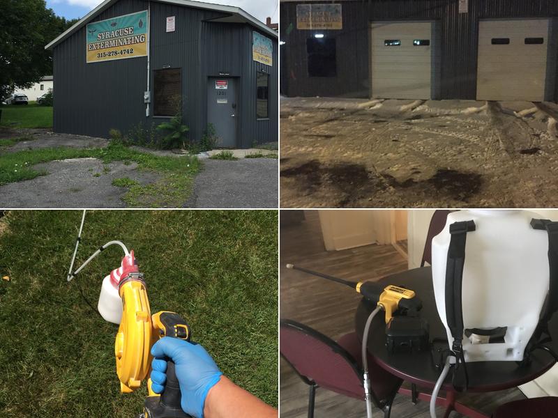 Syracuse pest control