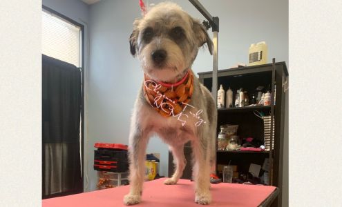 Awesome Dog Grooming 470 Daleville Ave, Daleville Alabama 36322
