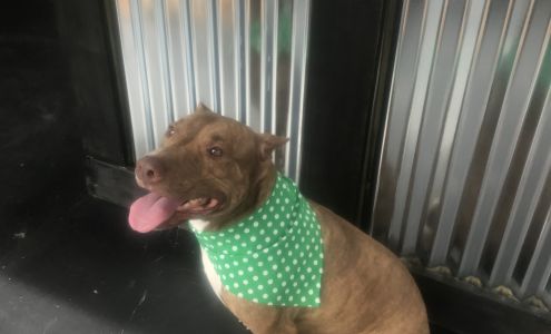 The Grooming Co. 2198 Luverne Hwy, Greenville Alabama 36037