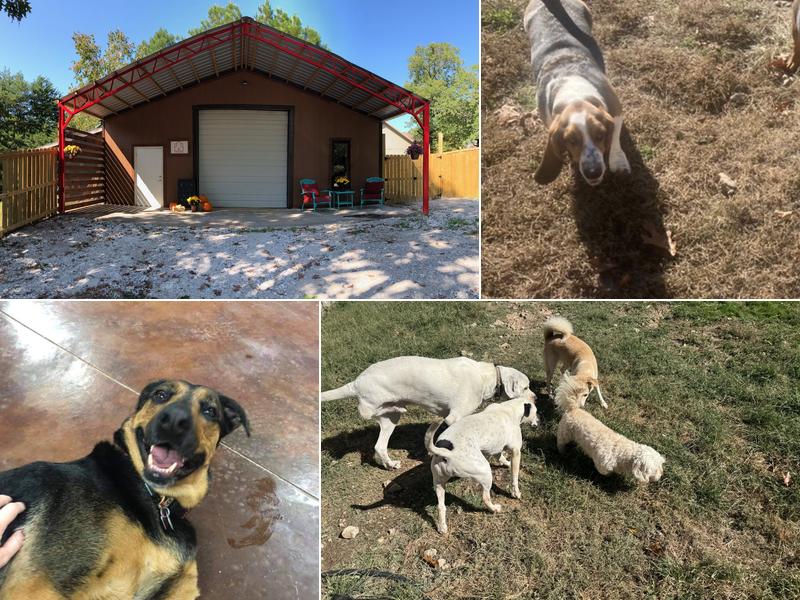 Canine Cabins Resort