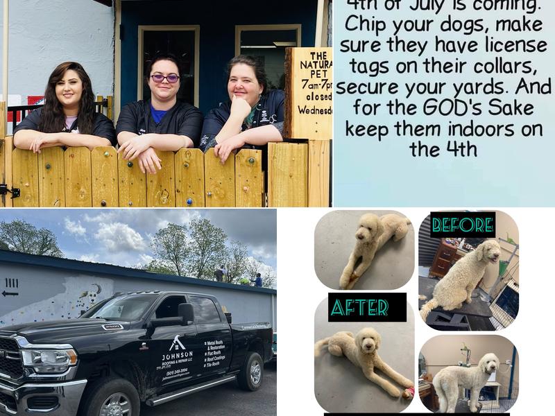 The Natural Pet Grooming and Training