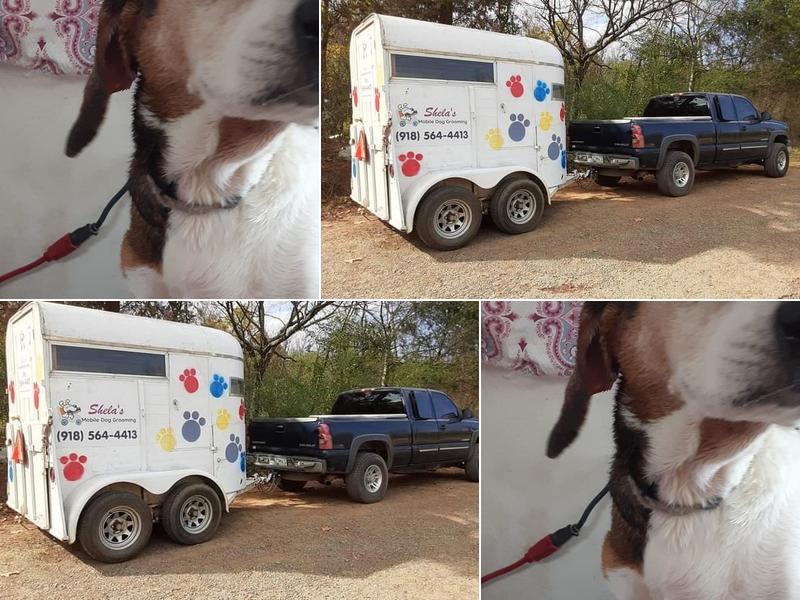Shela's Mobile Dog Grooming