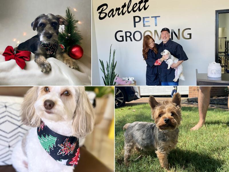 Bartlett Pet Grooming