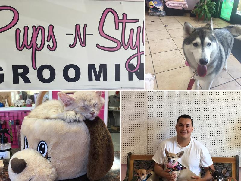Pups n style grooming