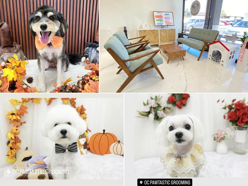 OC Pawtastic Grooming