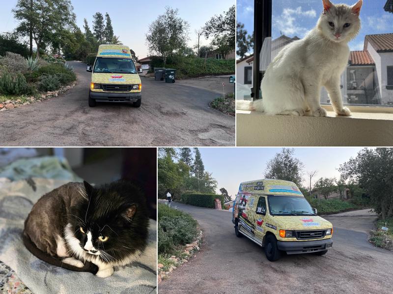 Private Mobile Grooming