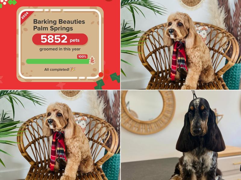 Barking Beauties Dog Grooming