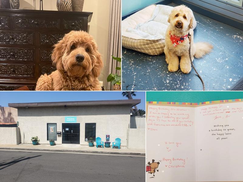 North beach Pampered Pets LLC