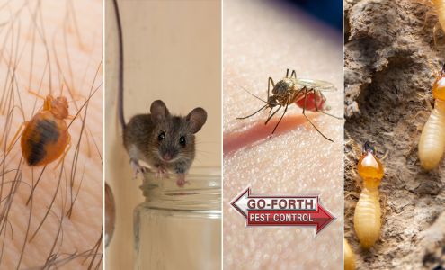 Go-Forth Pest Control 1431 Air Rail Ave Ste E, Virginia Beach Virginia 23455