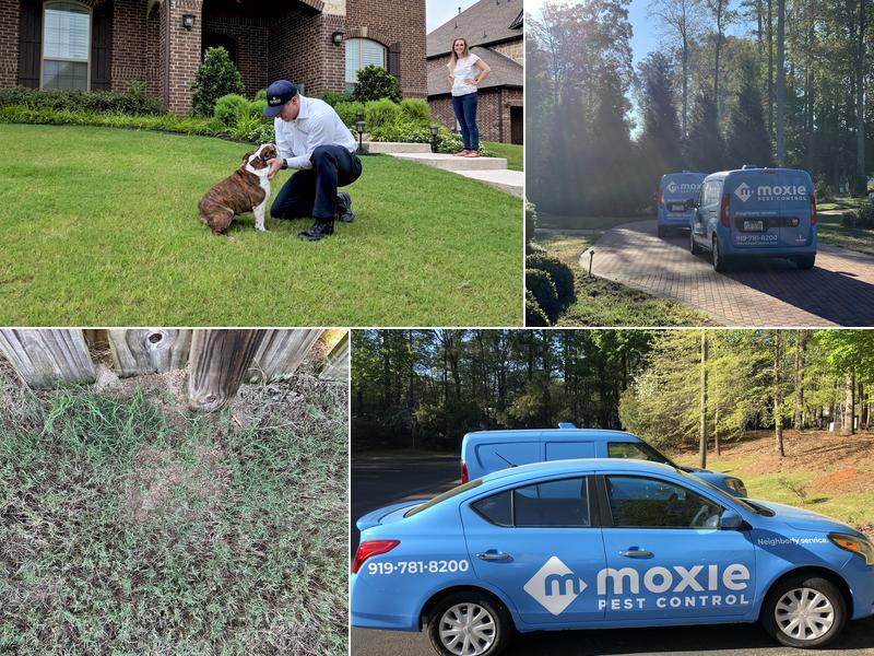 Moxie Pest Control