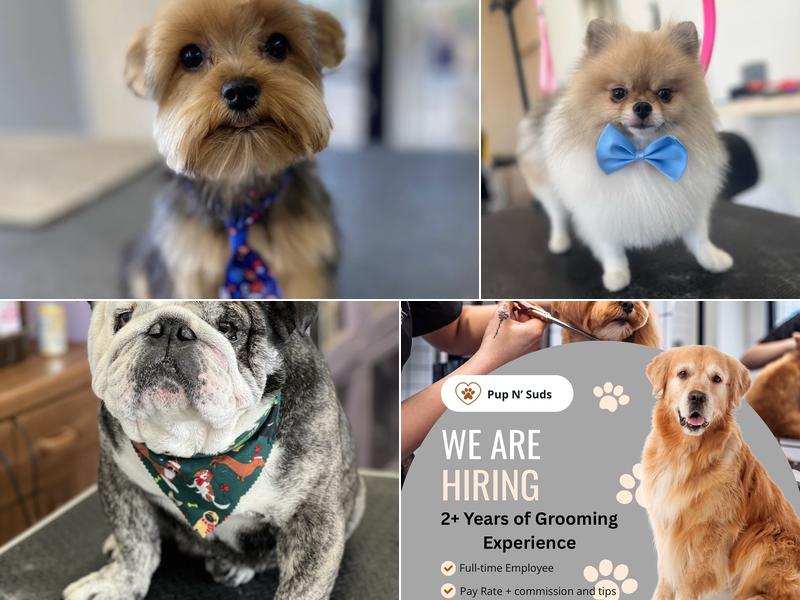 Pup N Suds Dog Grooming