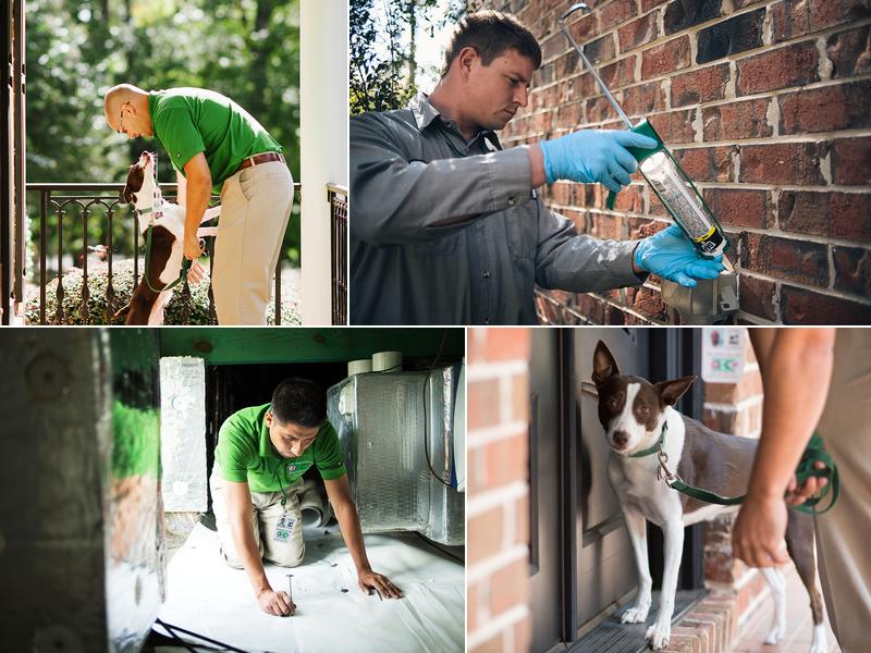 Killingsworth Environmental