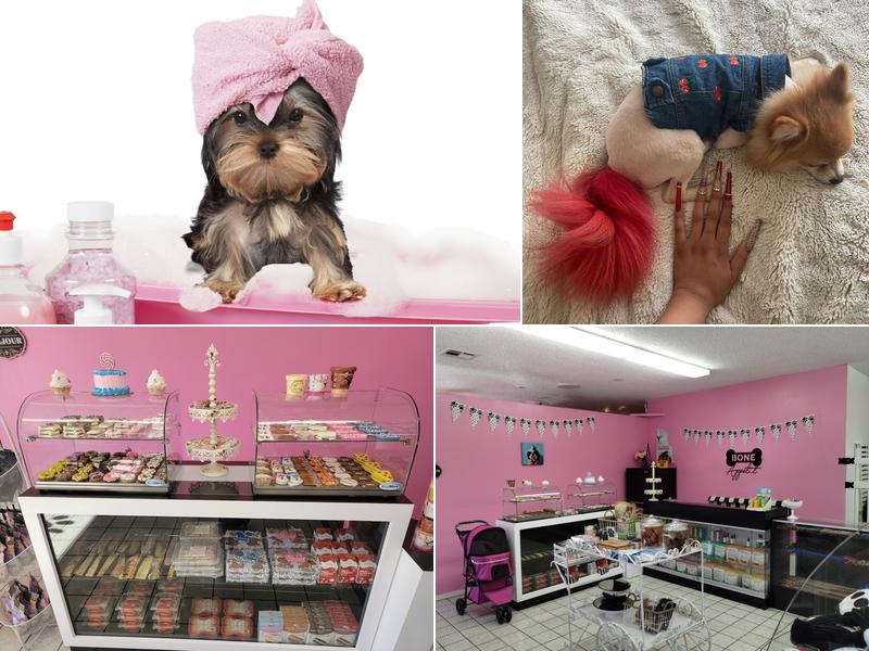 Kandys Pups 'N' Stuff Pet Spa & Hotel