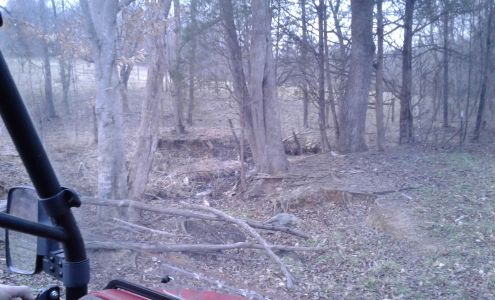 Piedmont Wildlife Services