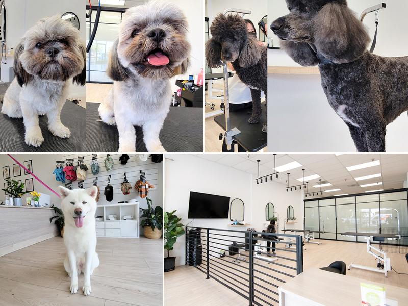 Oui Paws Pet Salon