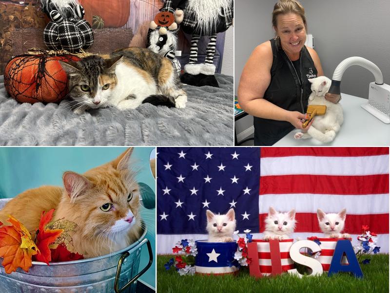 PURRology SPaw & Retreat