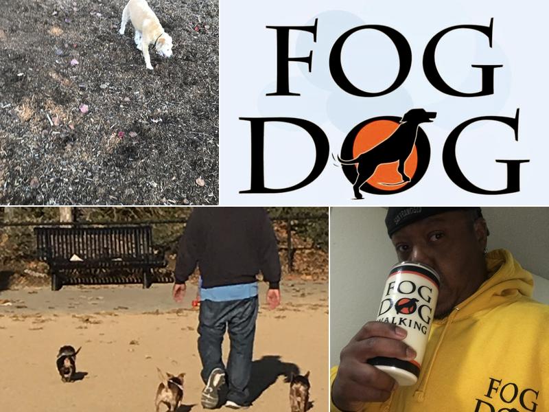Fog Dog Walking LLC