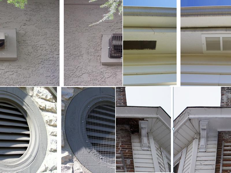 Critter Control of Dayton