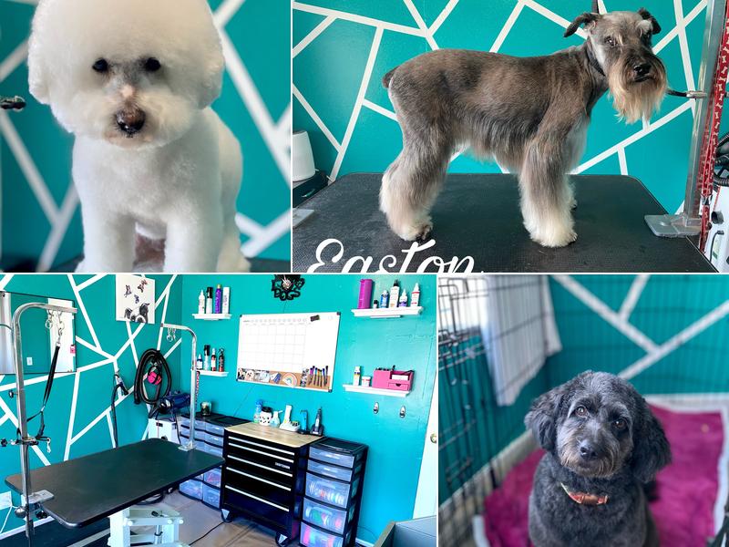 Nichole's Loving Cuts