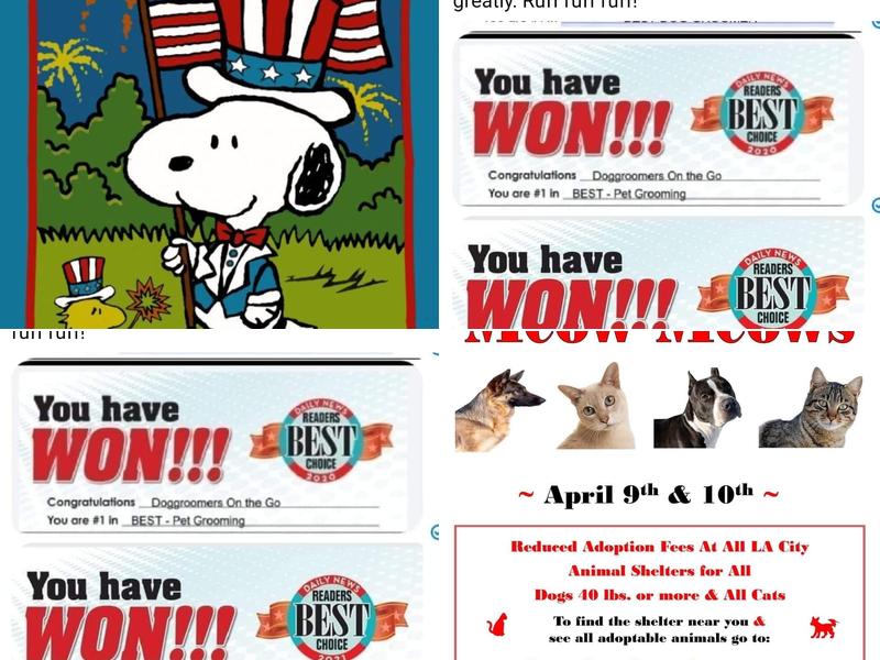 Doggroomers On the Go