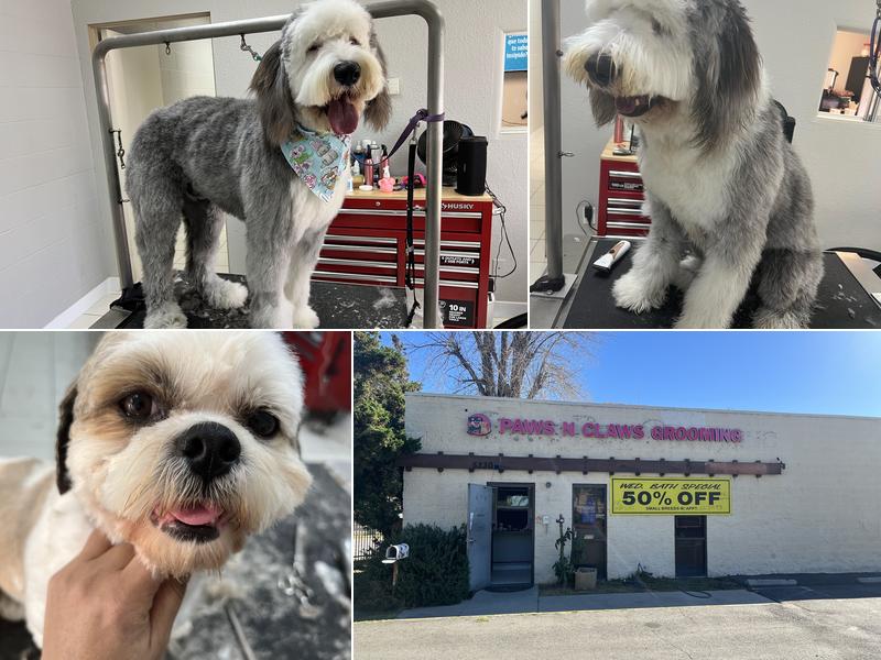 Paws n Claws Grooming