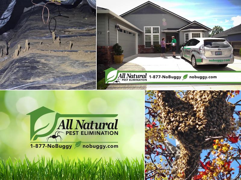 All Natural Pest Elimination