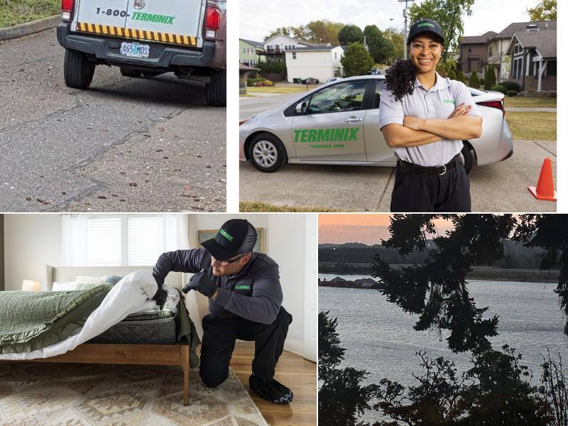 Terminix