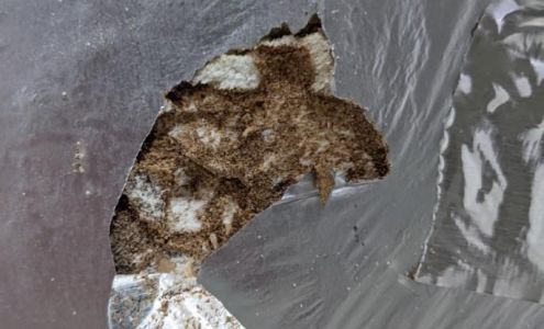 Central Oregon Pest Solutions (COPS)