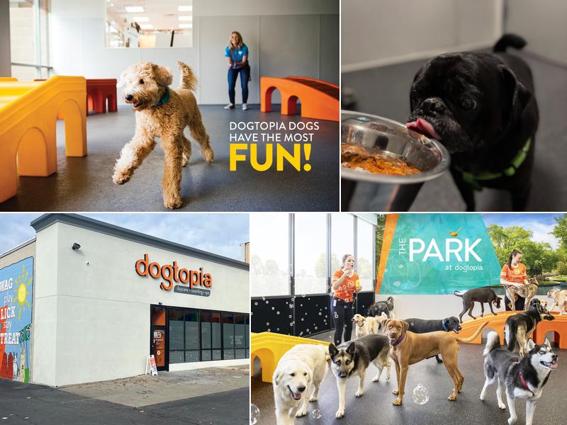 Dogtopia of Port Chester